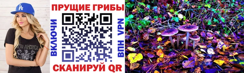 цена наркотик  Бирюсинск  Галлюциногенные грибы Cubensis 